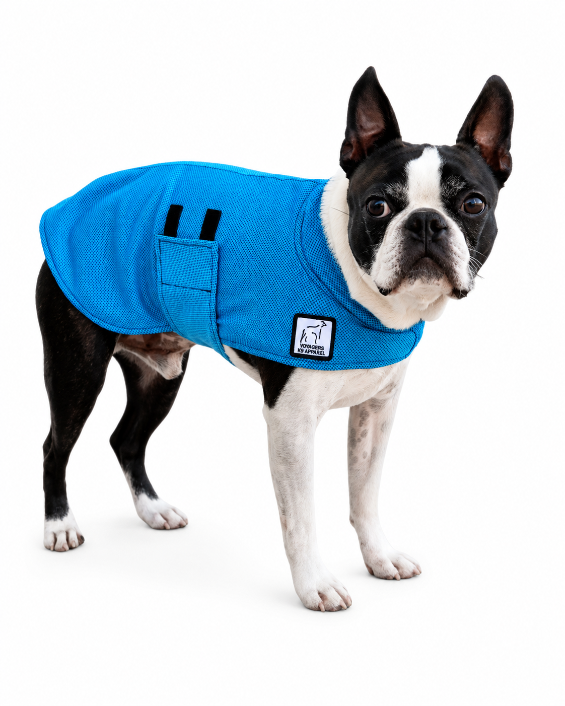 Boston Terrier Cooling Coat