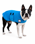 Boston Terrier Cooling Coat