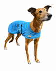 Greyhound Cooling Coat