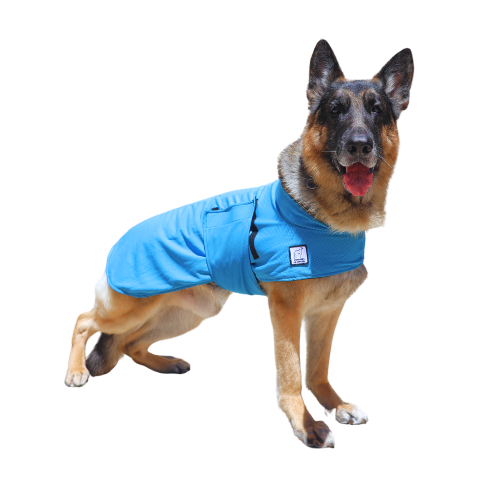 German Shepherd Cooling Coat