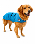 Golden Retriever Cooling Coat