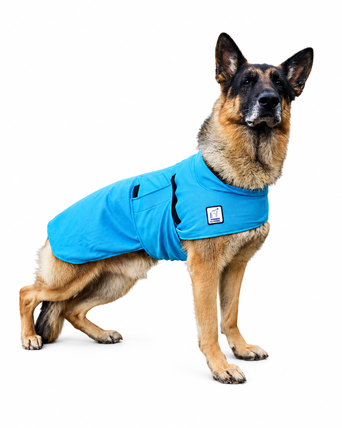 German Shepherd Cooling Coat