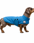 Miniature Dachshund Cooling Coat
