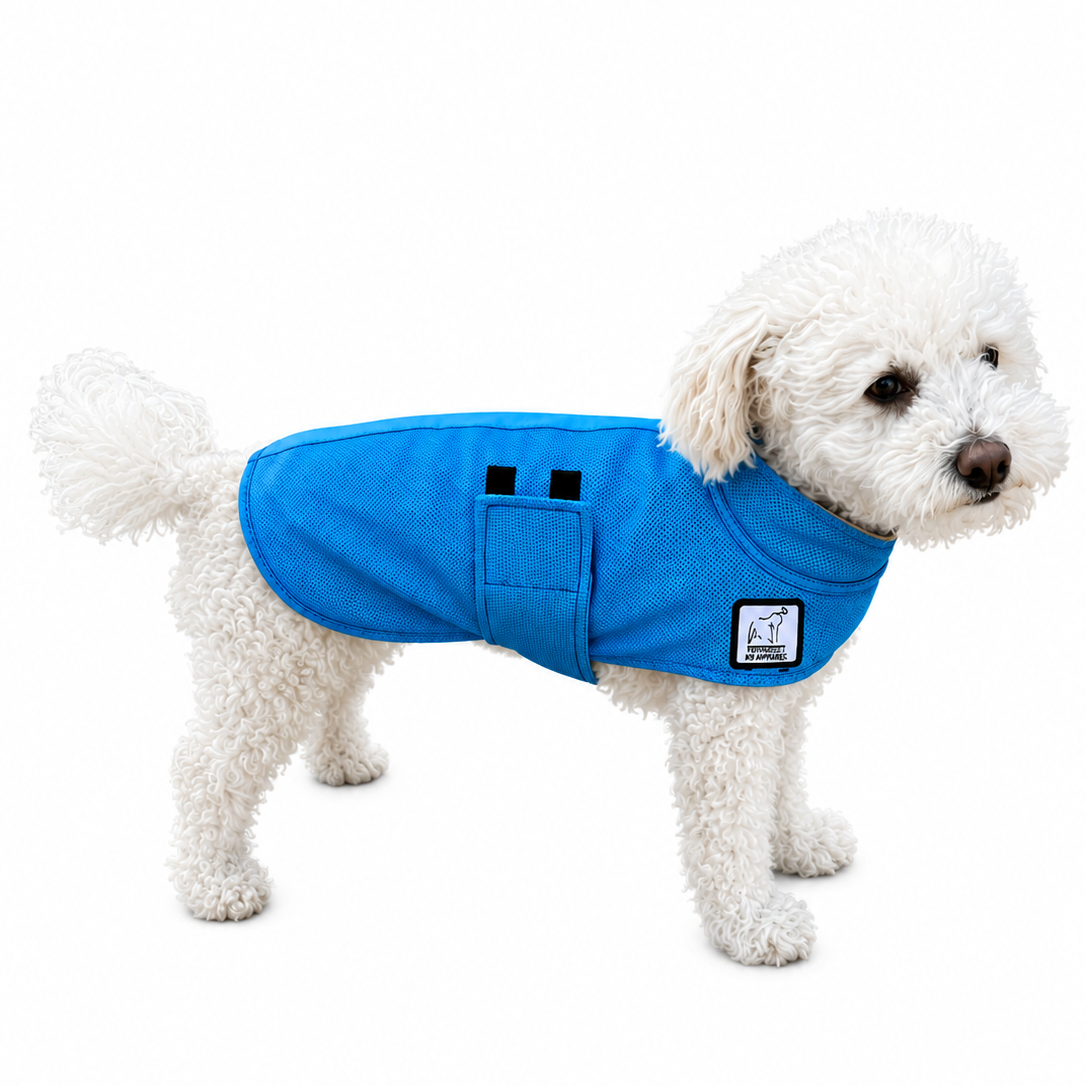 Miniature Poodle Cooling Coat