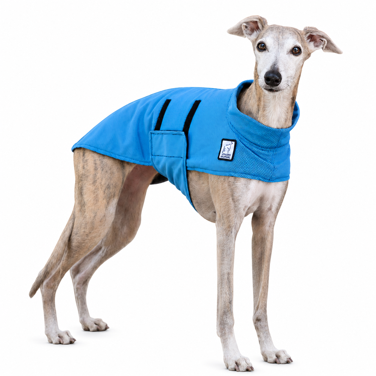 Whippet Cooling Coat