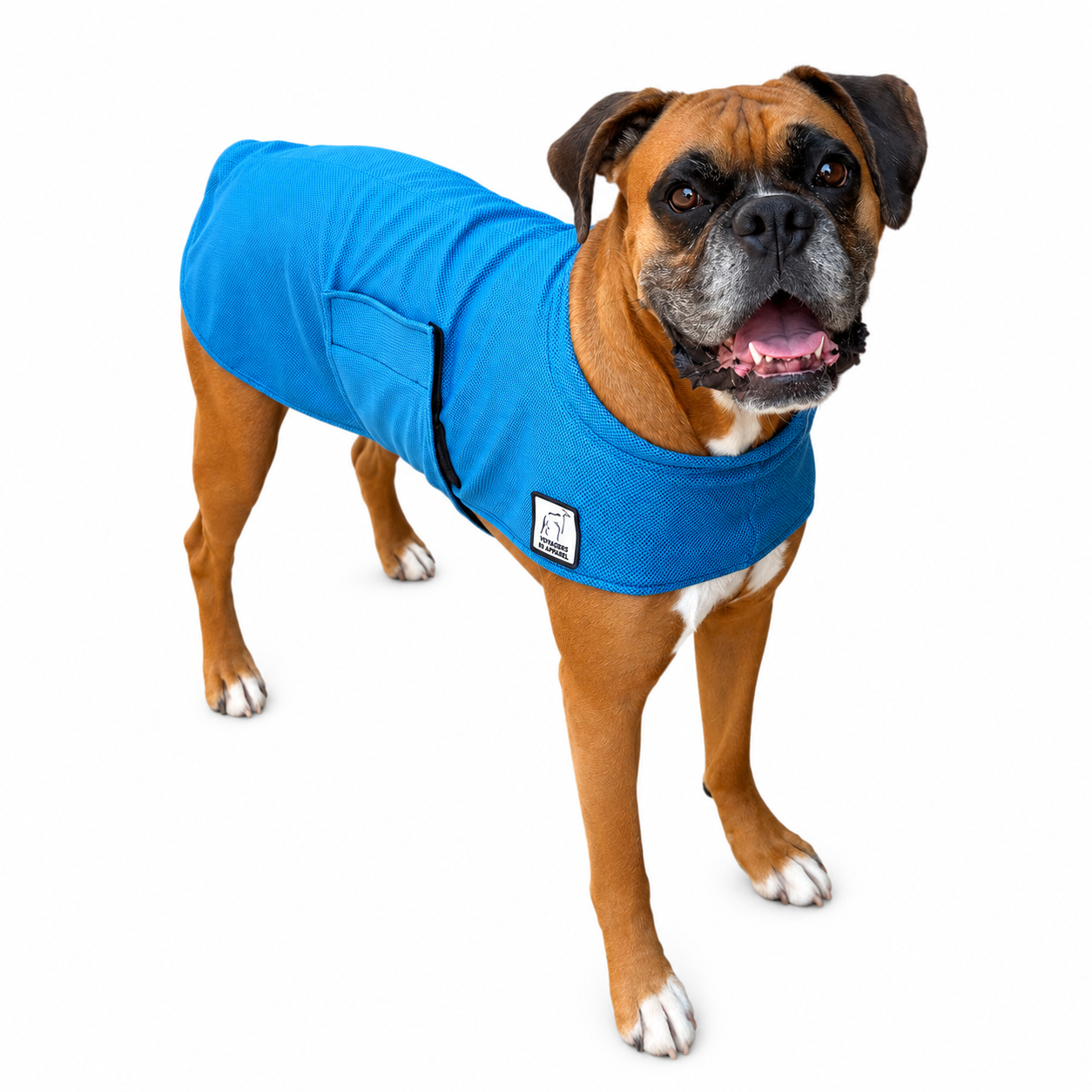 Boxer Cooling Coat