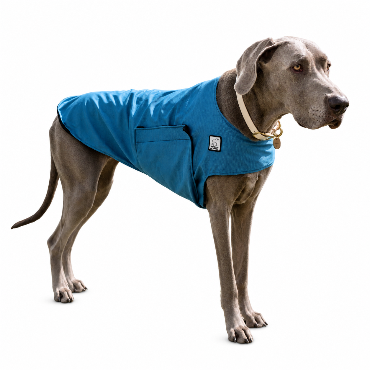 Great Dane Cooling Coat