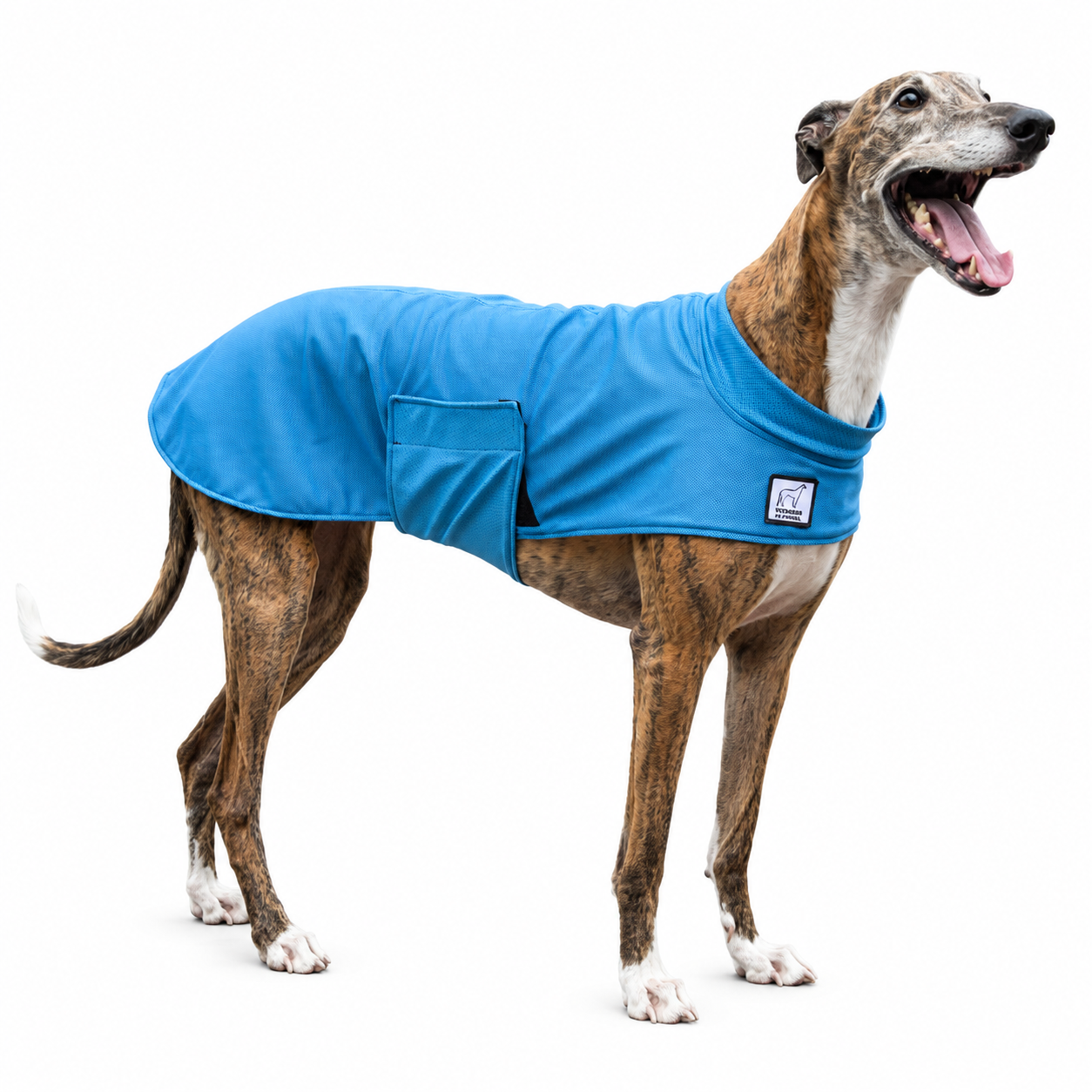 Greyhound Cooling Coat