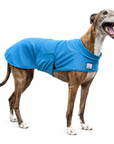 Greyhound Cooling Coat
