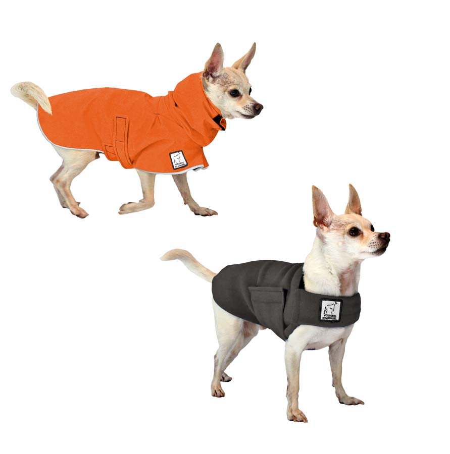 Chihuahua Camper Bundle