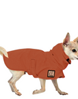 Chihuahua Raincoat