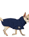Chihuahua Raincoat
