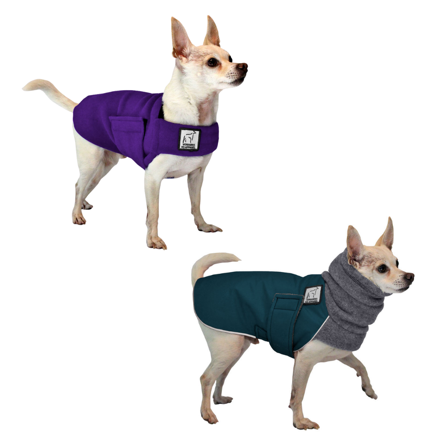 Chihuahua Rover Bundle