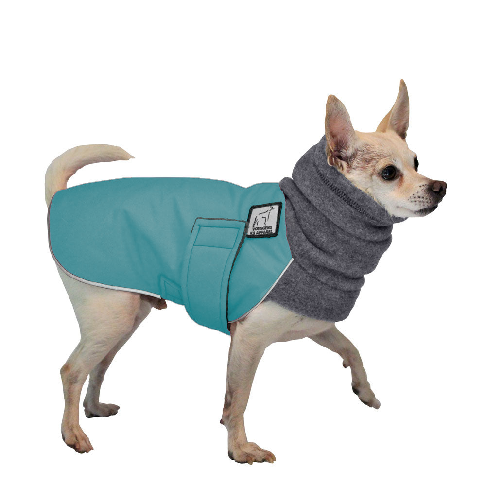 Chihuahua Winter Coat