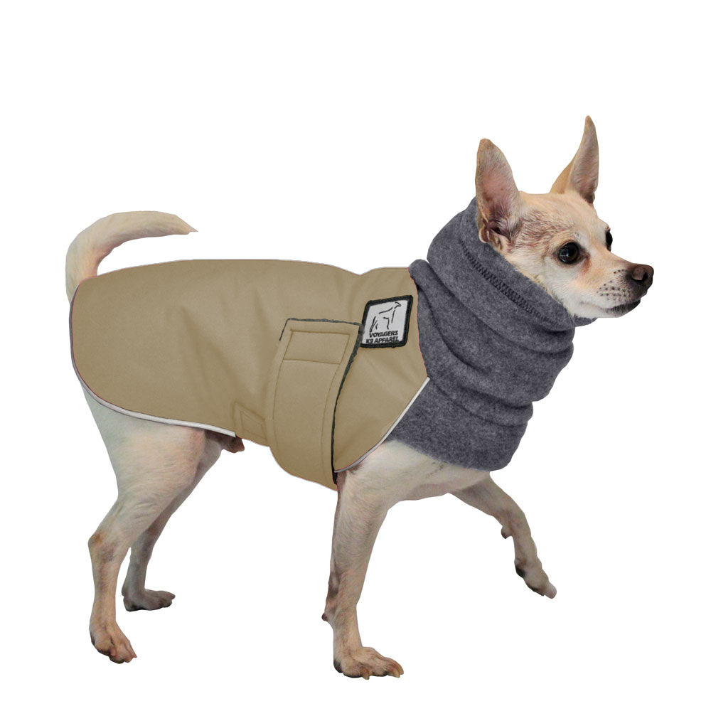 Chihuahua Winter Coat