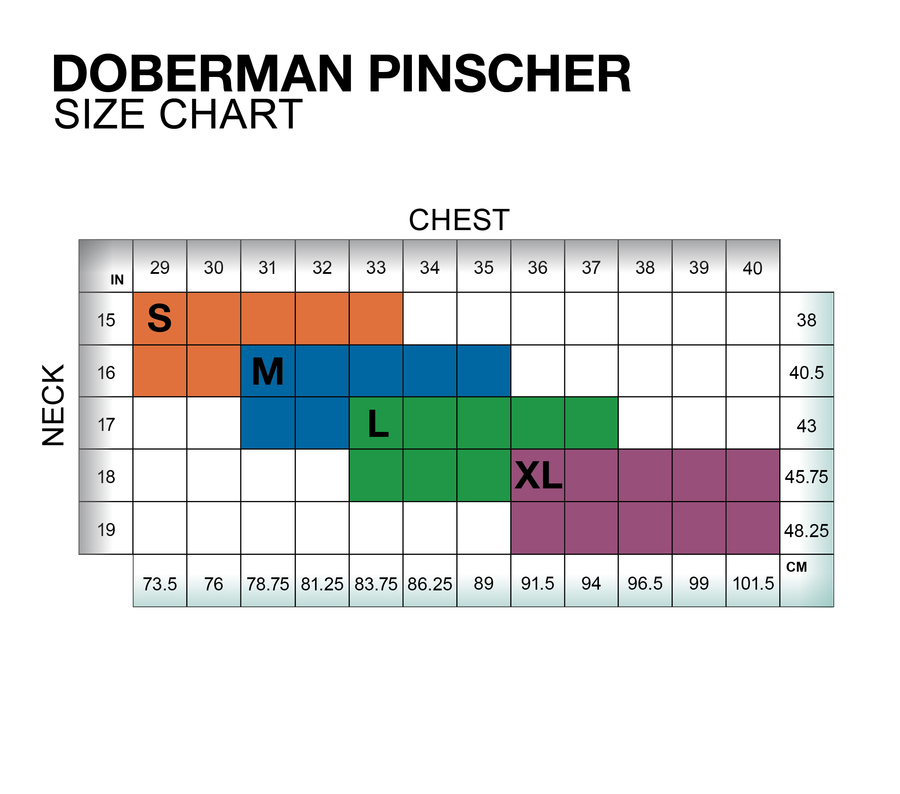 ReCoat ♻️ Doberman Pinscher Tummy Warmer
