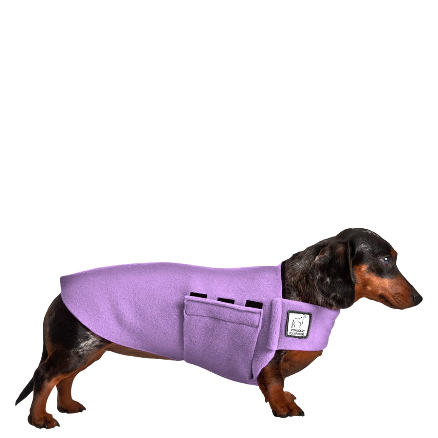 Dachshund Tummy Warmer
