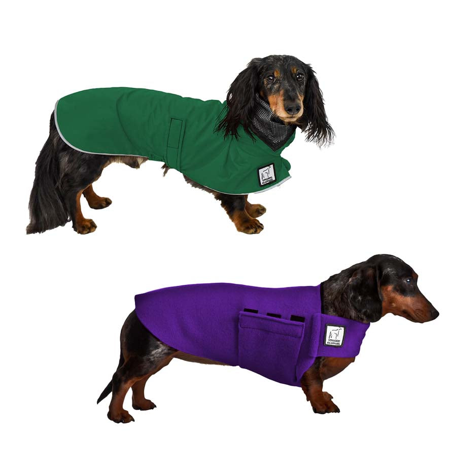 Dachshund Camper Bundle