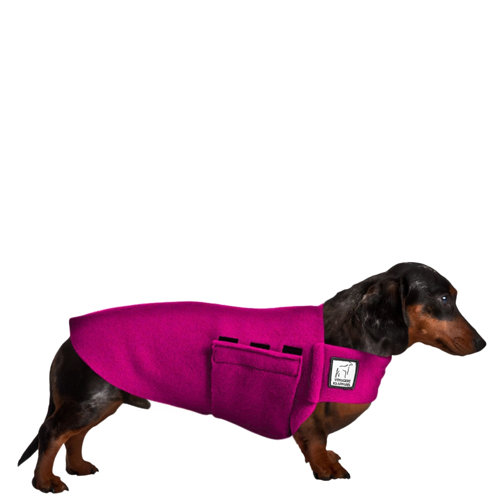 Dachshund Tummy Warmer