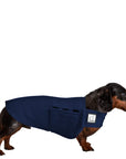 Miniature Dachshund Tummy Warmer