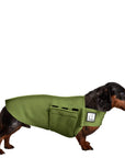 Miniature Dachshund Tummy Warmer