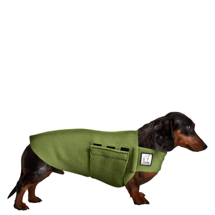 Miniature Dachshund Tummy Warmer