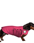 Miniature Dachshund Tummy Warmer