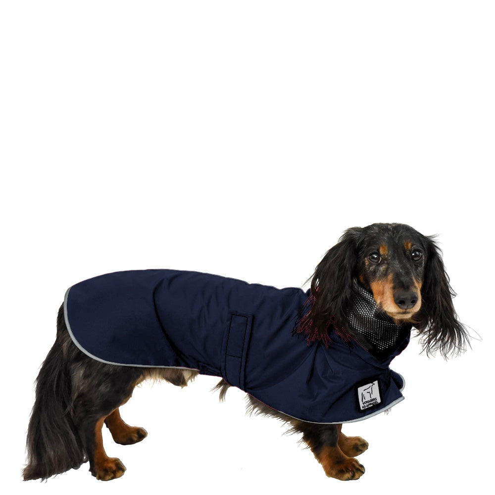 Dachshund Raincoat