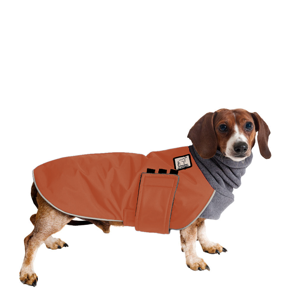 ReCoat Like New: Miniature Dachshund Winter Coat