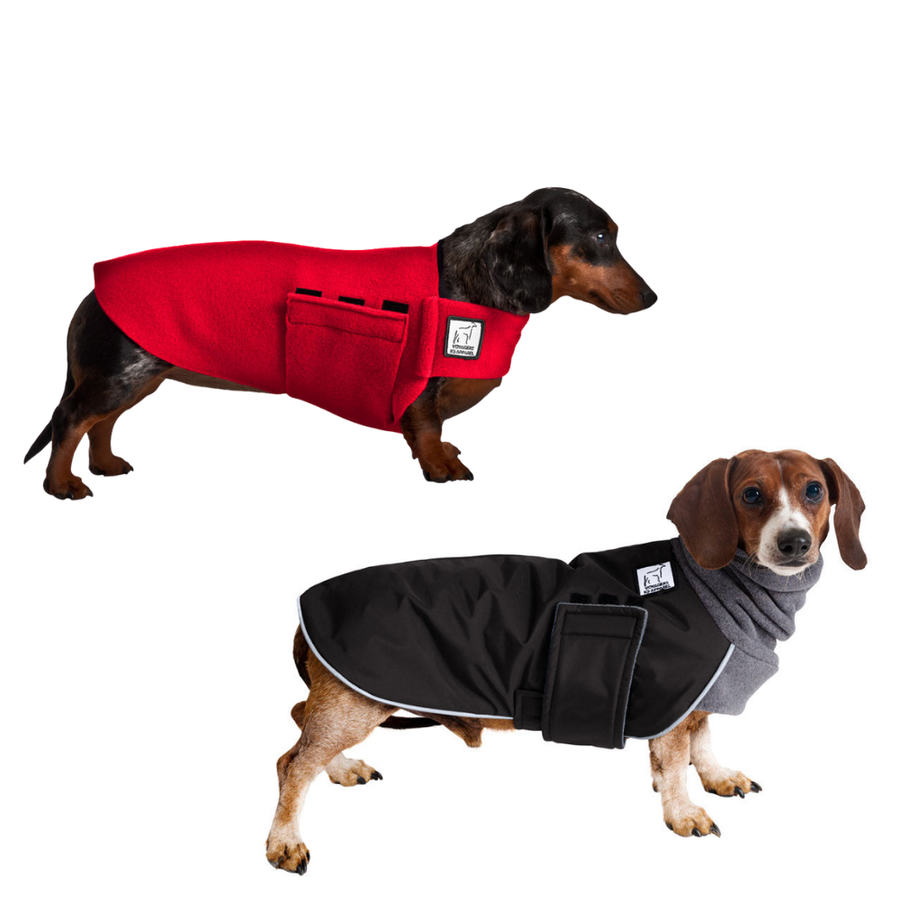 Dachshund Rover Bundle