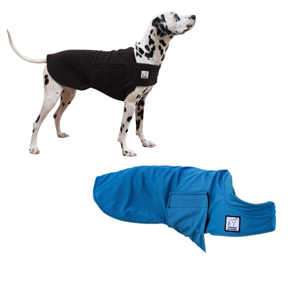 Dalmatian Hiker Bundle