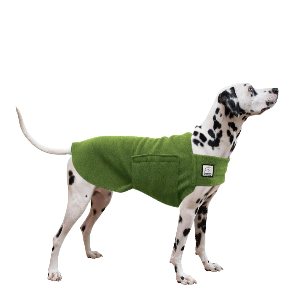 Dalmatian Tummy Warmer