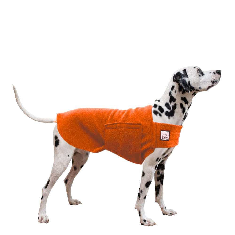 Dalmatian Tummy Warmer