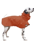 Dalmatian Raincoat