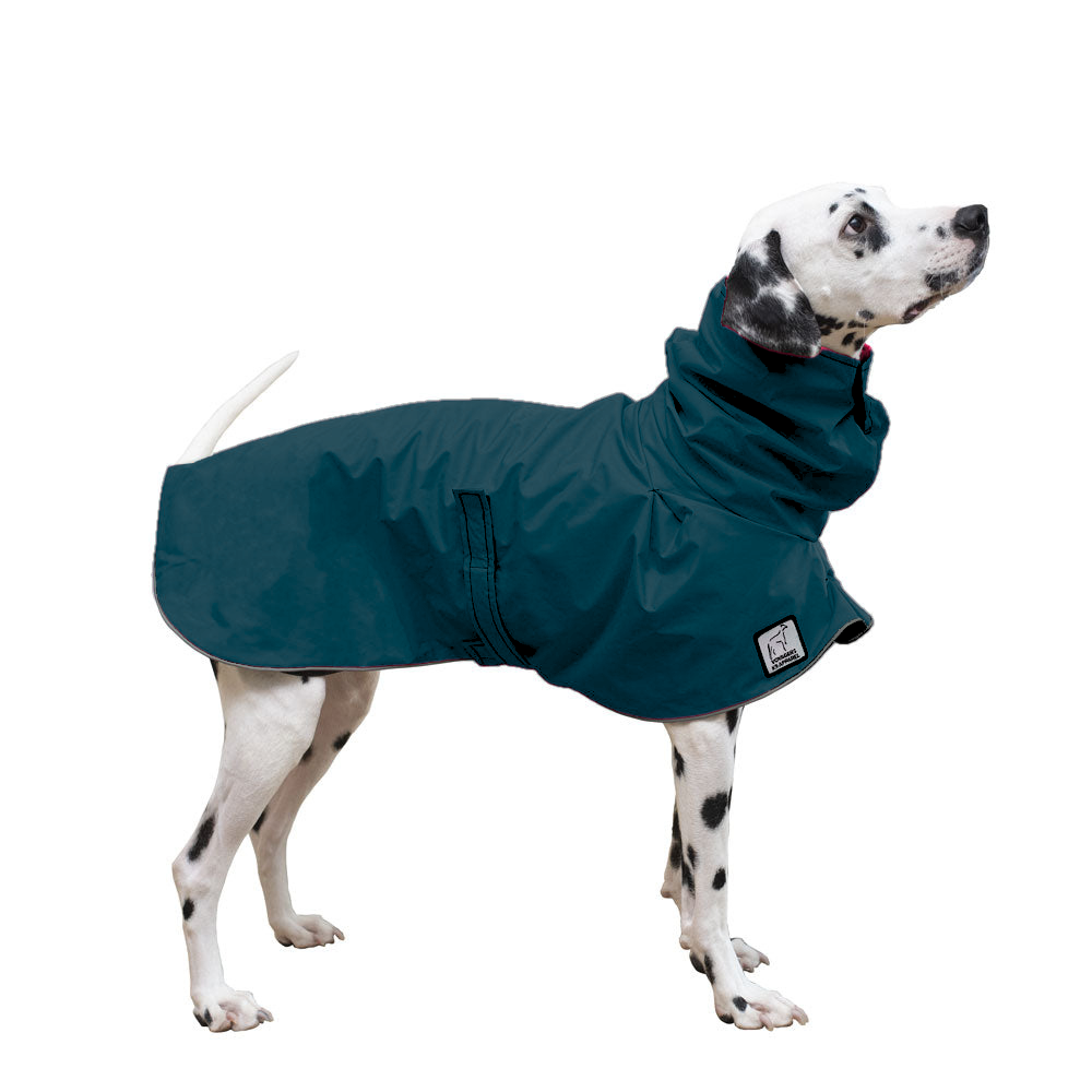Dalmatian Raincoat