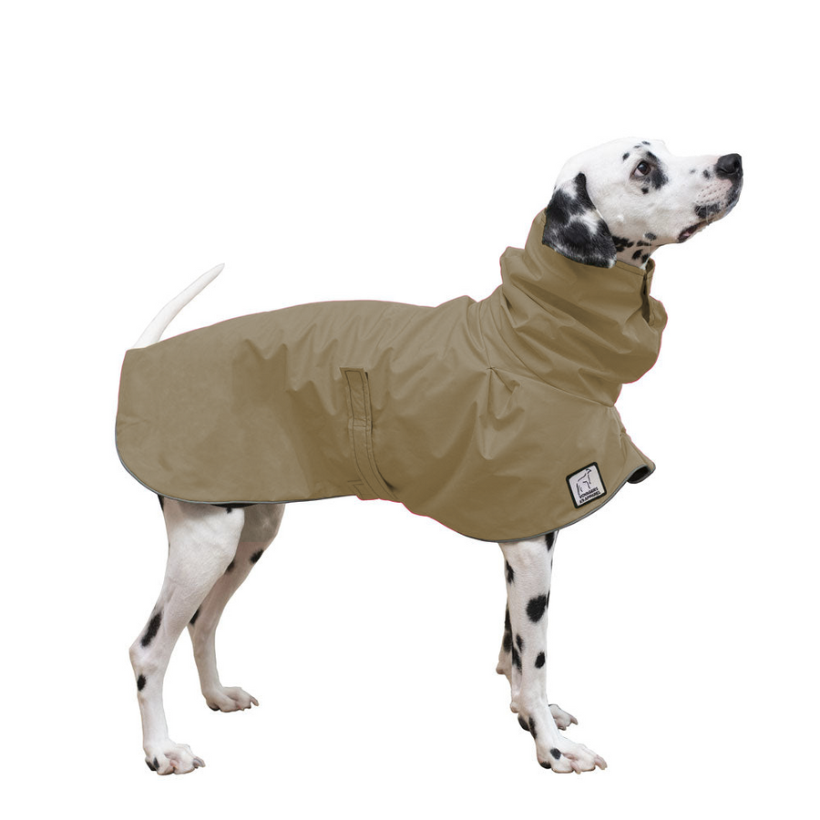 Dalmatian Raincoat