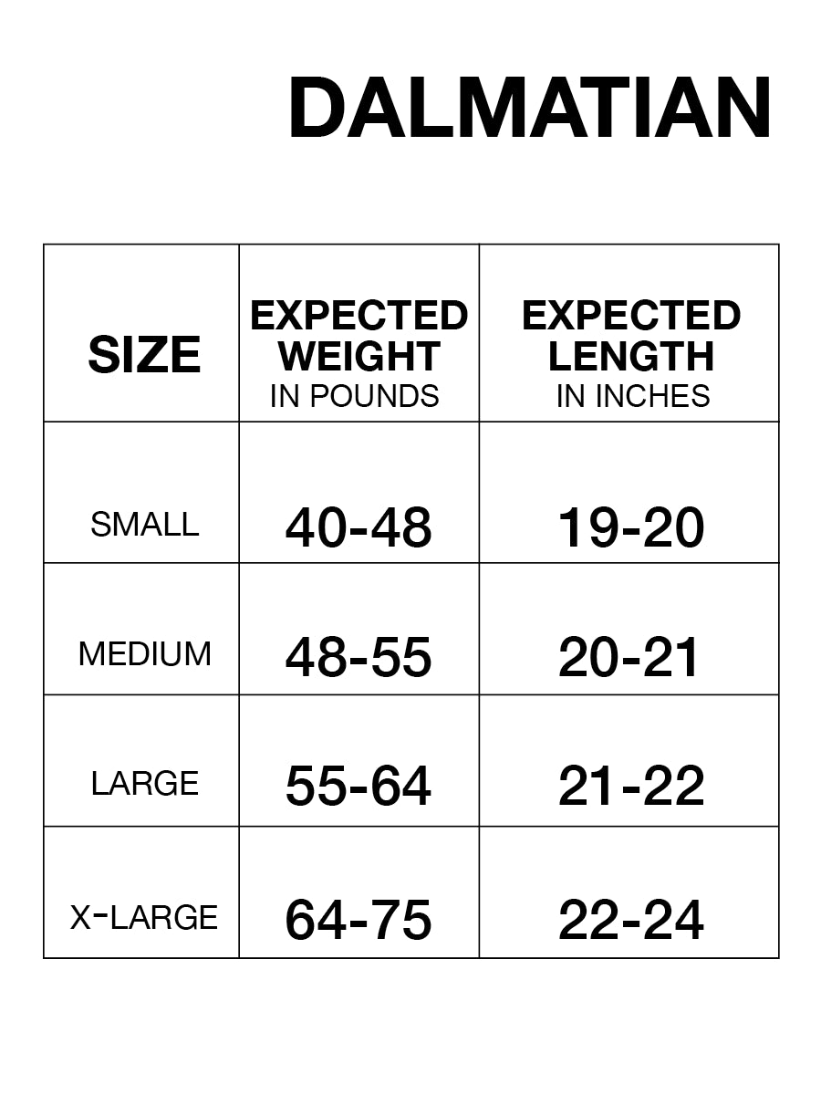 Dalmatian Warm Dog Winter Coat Voyagers K9 Apparel