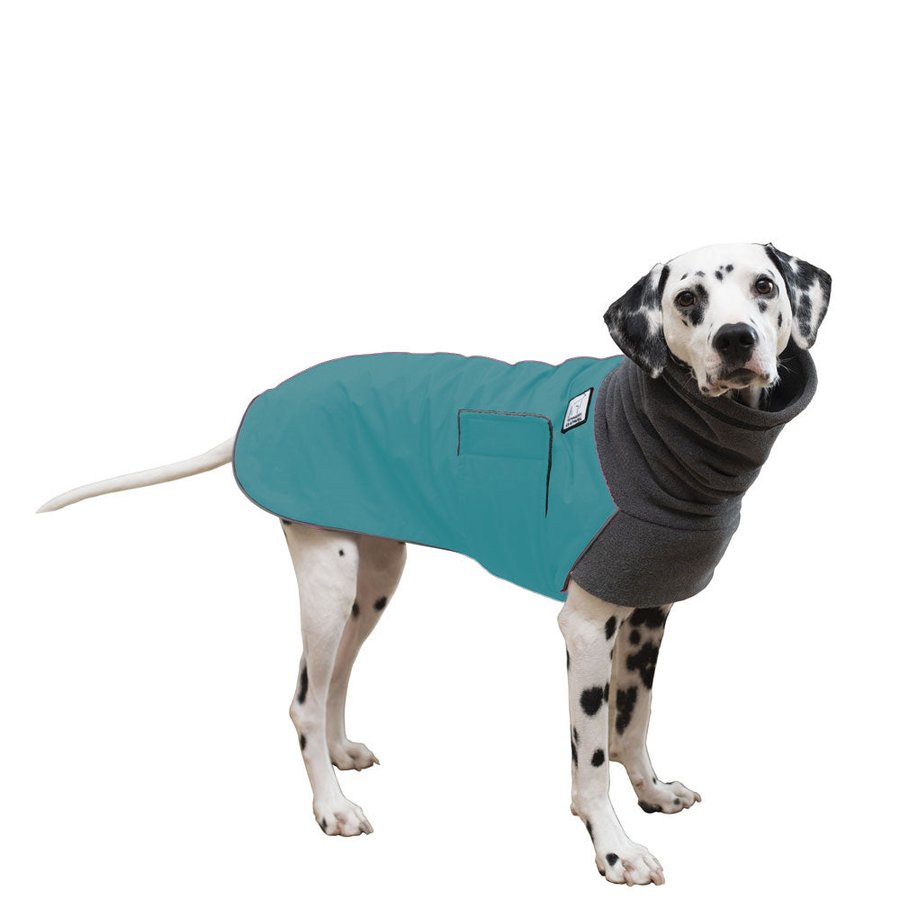 Dalmatian Warm Dog Winter Coat – Voyagers K9 Apparel