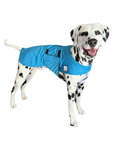 Dalmatian Cooling Coat