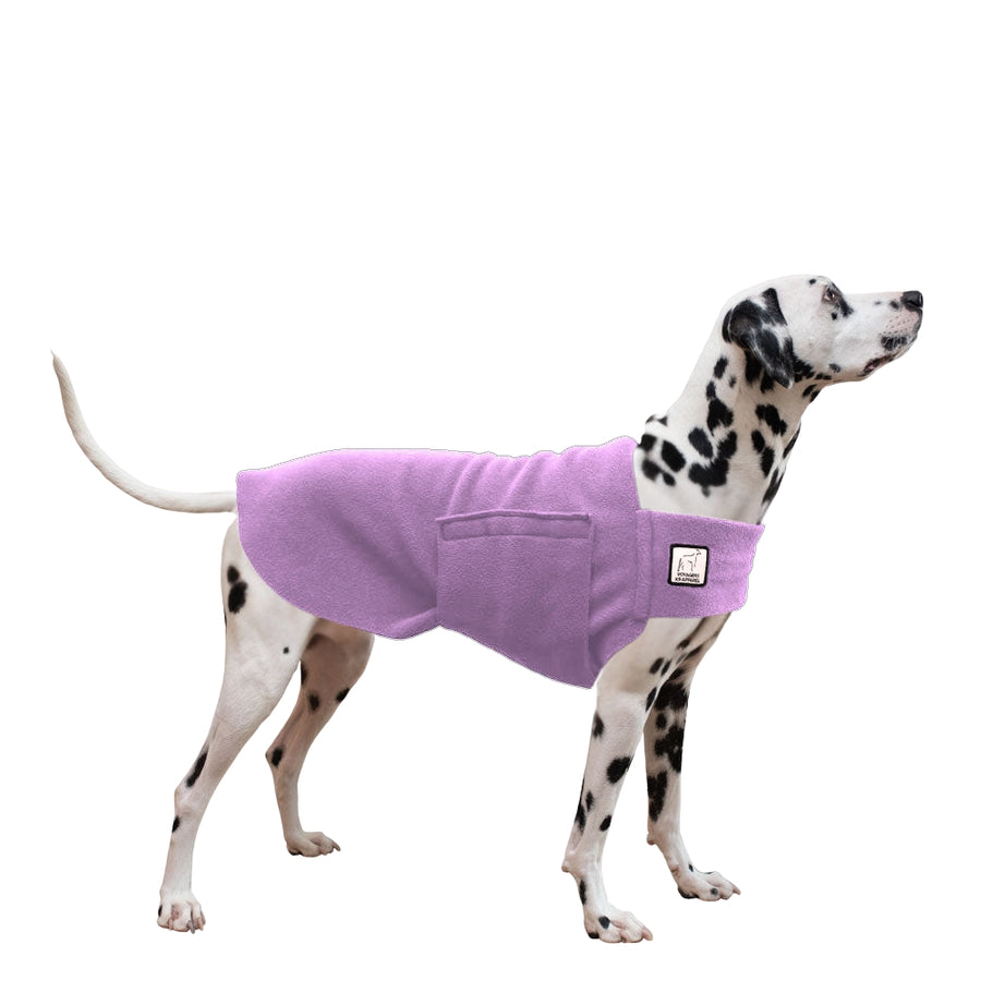 Dalmatian Tummy Warmer
