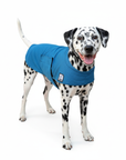 Dalmatian Cooling Coat