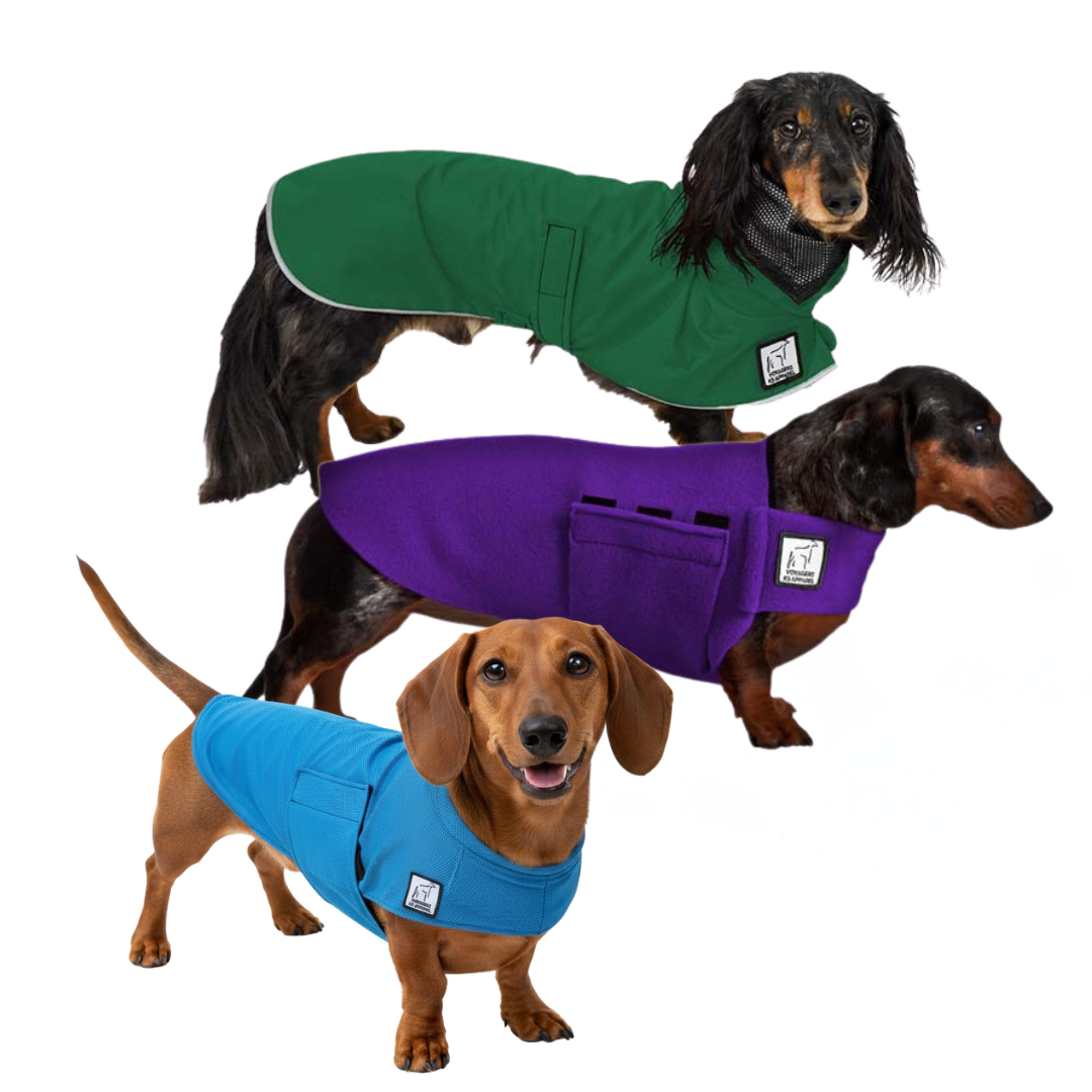 Dachshund Nomad Bundle