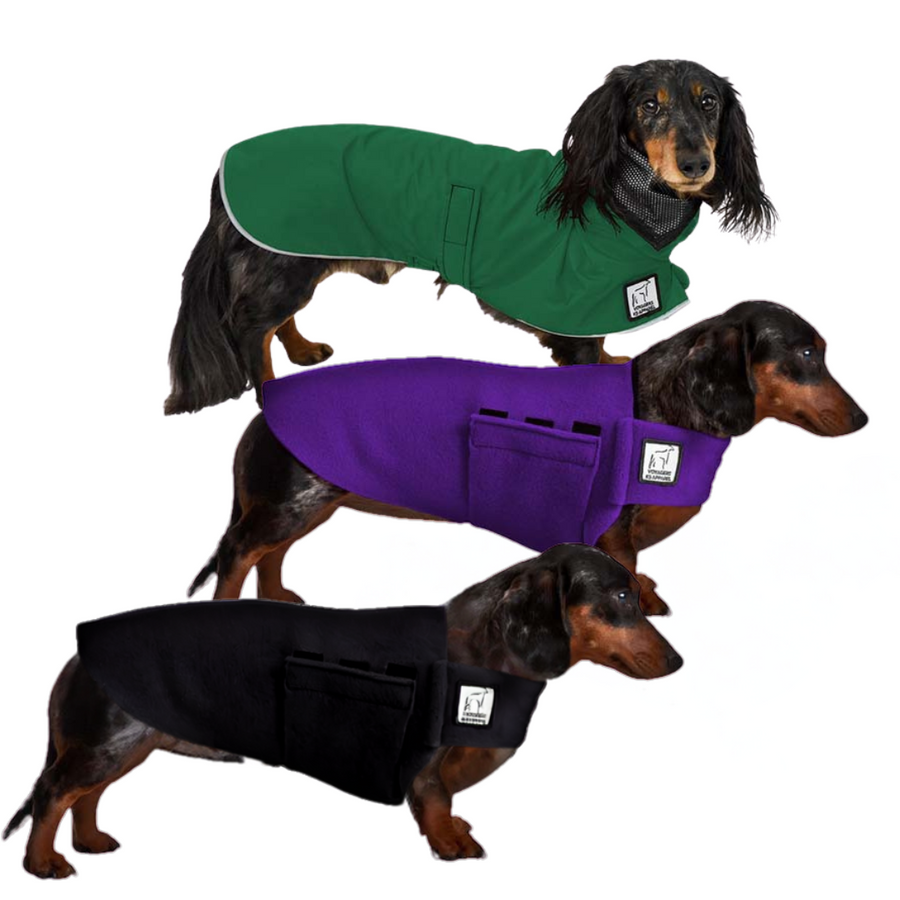 Miniature Dachshund Fall Essentials Bundle