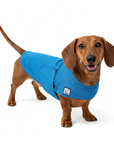 Dachshund Cooling Coat