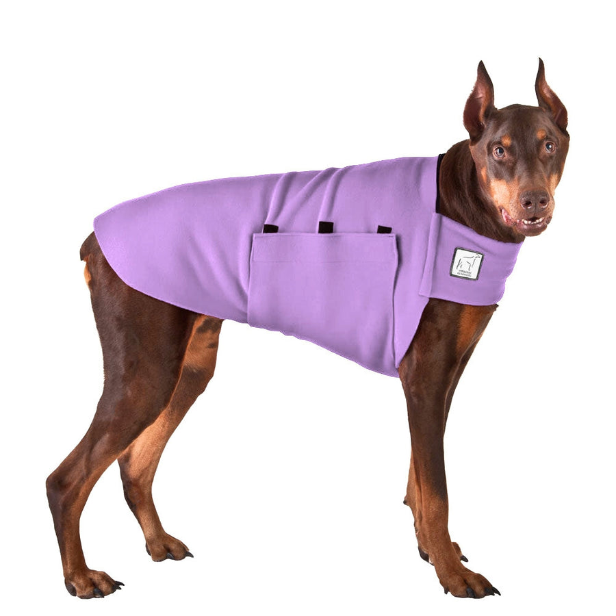 Doberman Pinscher Tummy Warmer