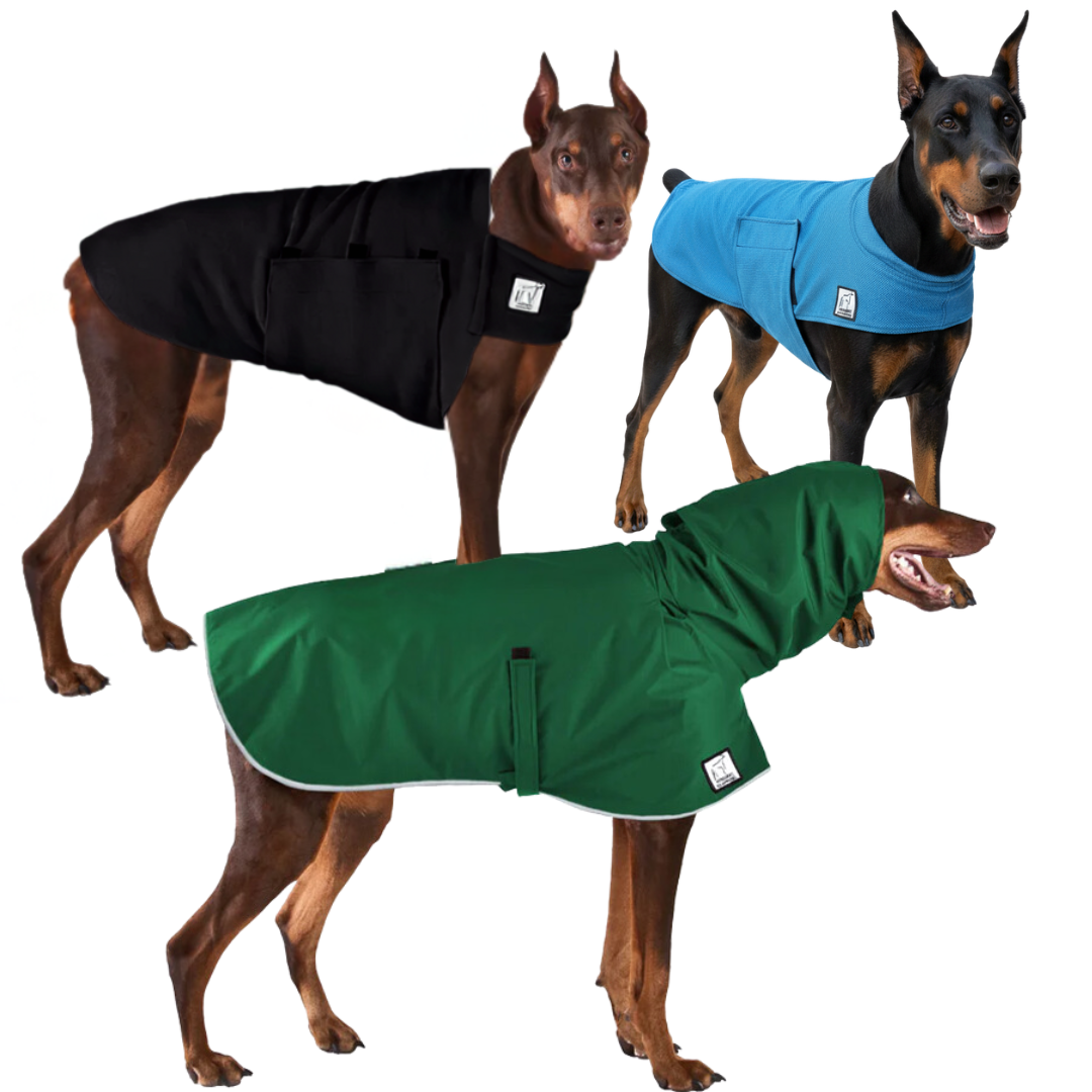 Doberman Nomad Bundle