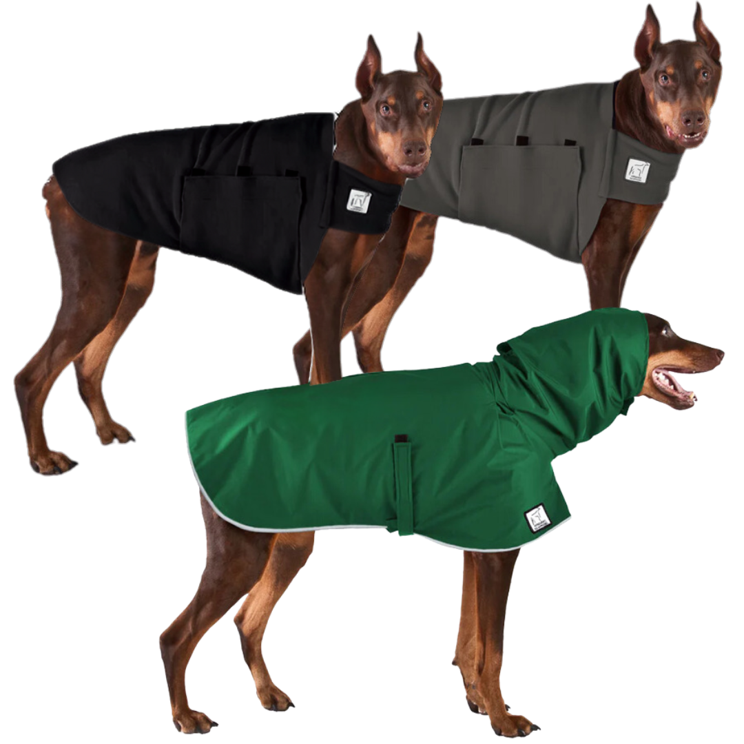 Doberman Pinscher Wanderer Bundle