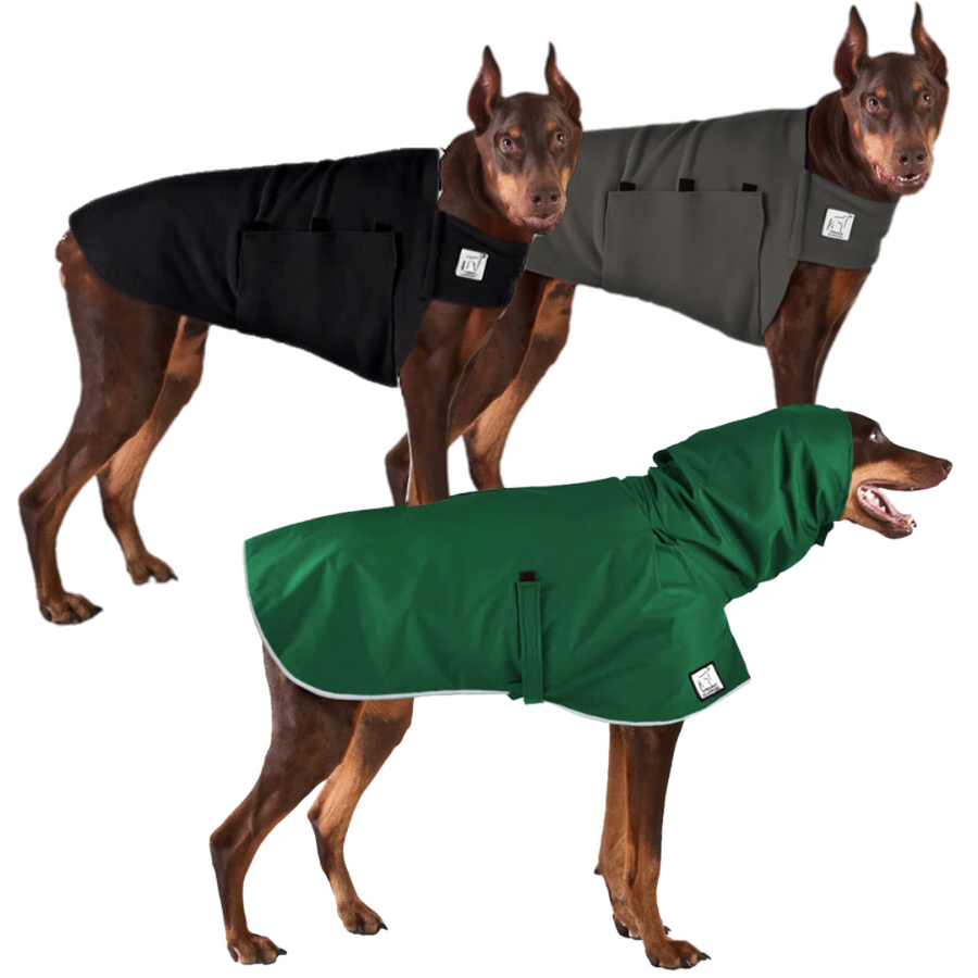 Doberman Pinscher Fall Essentials Bundle