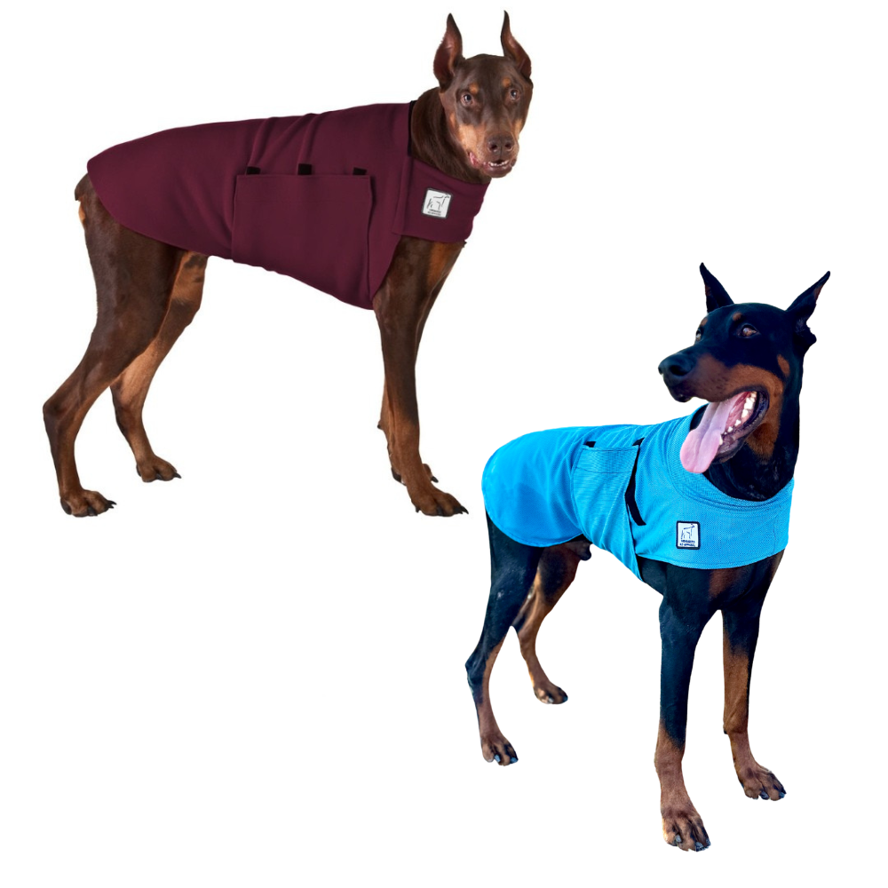 Doberman Hiker Bundle
