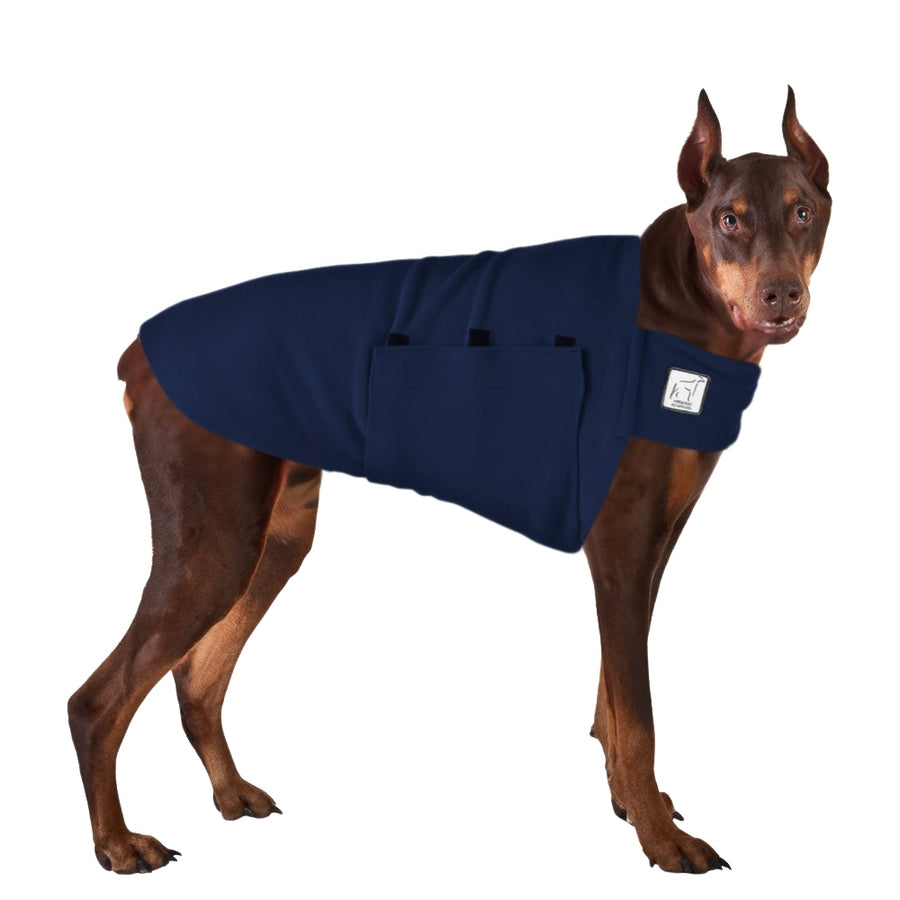 Doberman Pinscher Tummy Warmer